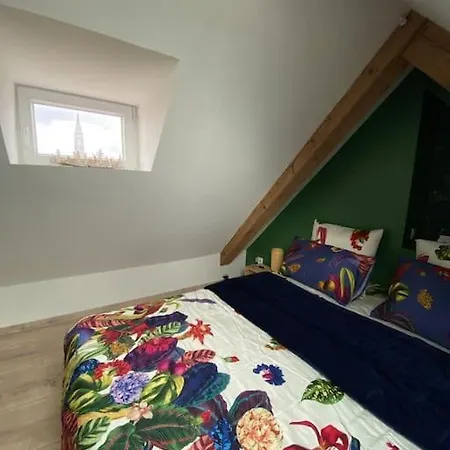 Les Toits D'Austerlitz Apartamento Estrasburgo Exterior foto